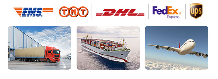 Qc11k-6x2500 Metal Guillotine Shear Guillotine Shearing Machine Qc11k-6x2500 금속 단두대 전단 단두대 전단 기계